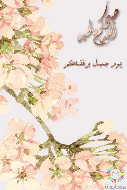 أغصان مزهرة وردية مرسومة بالألوان المائية مع عبارة صباحكم حب ويوم جميل بانتظاركم.