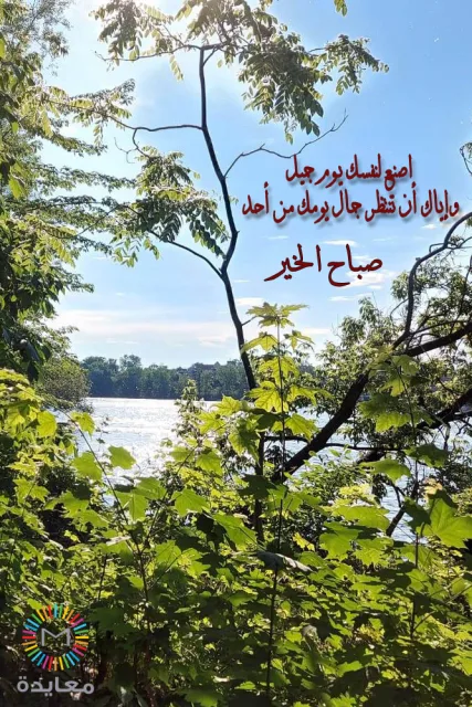 أشجار خضراء أمام بحيرة مضيئة بالشمس مع عبارة صباح الخير.