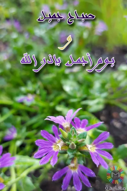 أزهار بنفسجية في الحديقة مع عبارة صباح الخير ويوم أجمل بإذن الله.