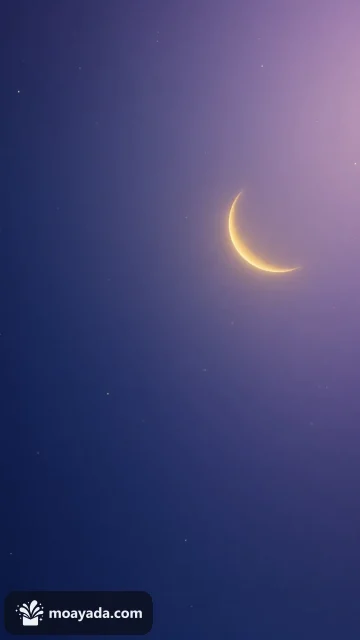 زنابق بيضاء مع قمر ونجوم